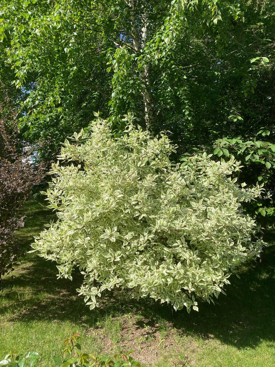 Апарт-отель Новый век Энгельс-93