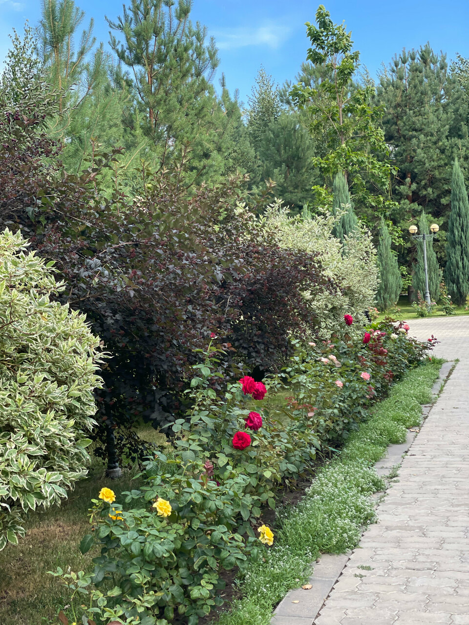 Апарт-отель Новый век Энгельс-232