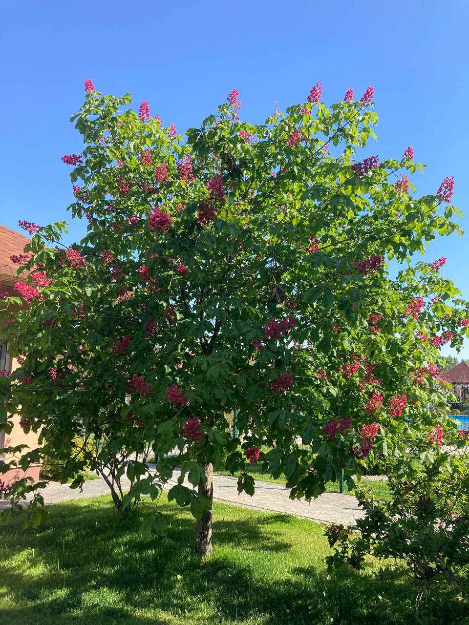 Апарт-отель Новый век Энгельс-30