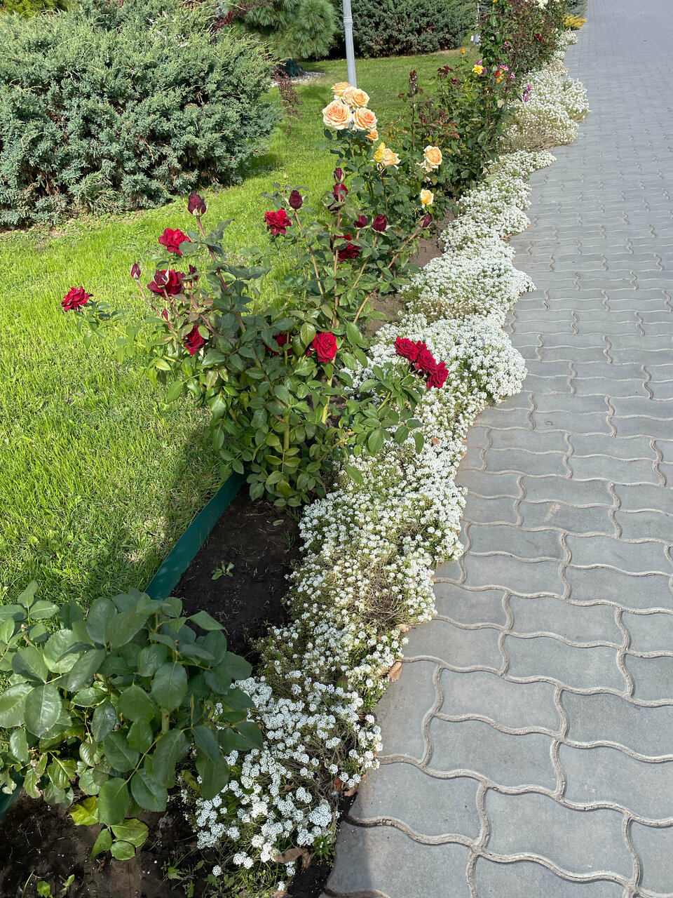 Апарт-отель Новый век Энгельс