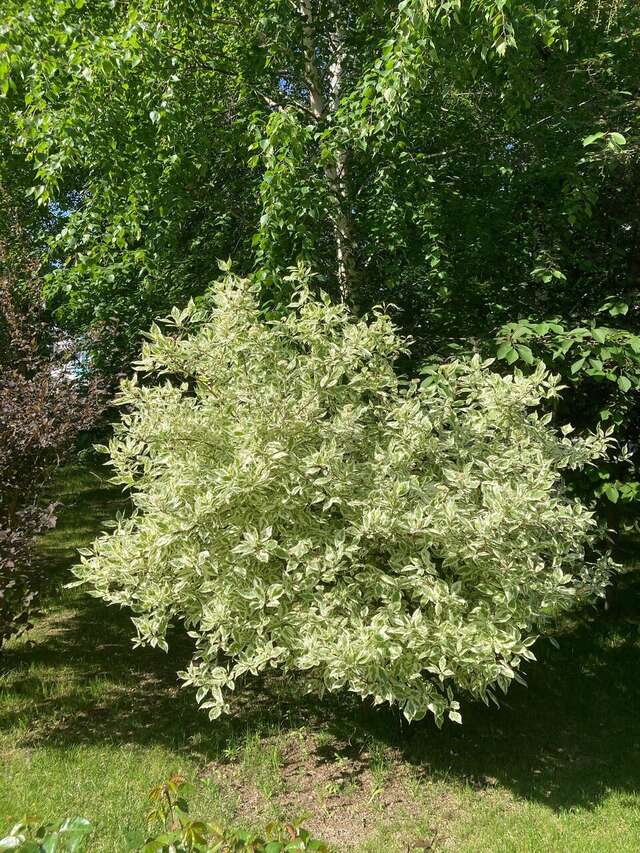 Апарт-отель Новый век Энгельс-92