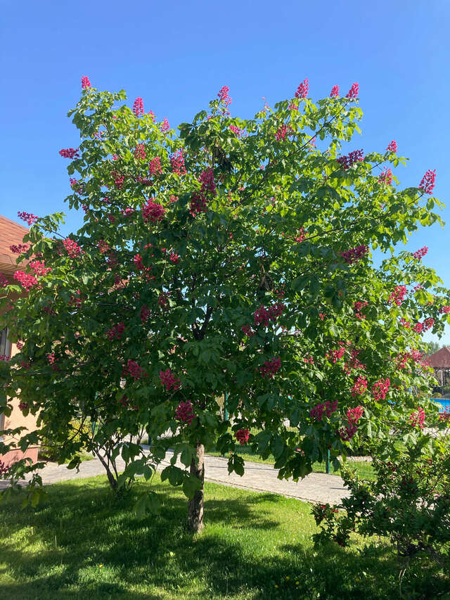 Апарт-отель Новый век Энгельс-29
