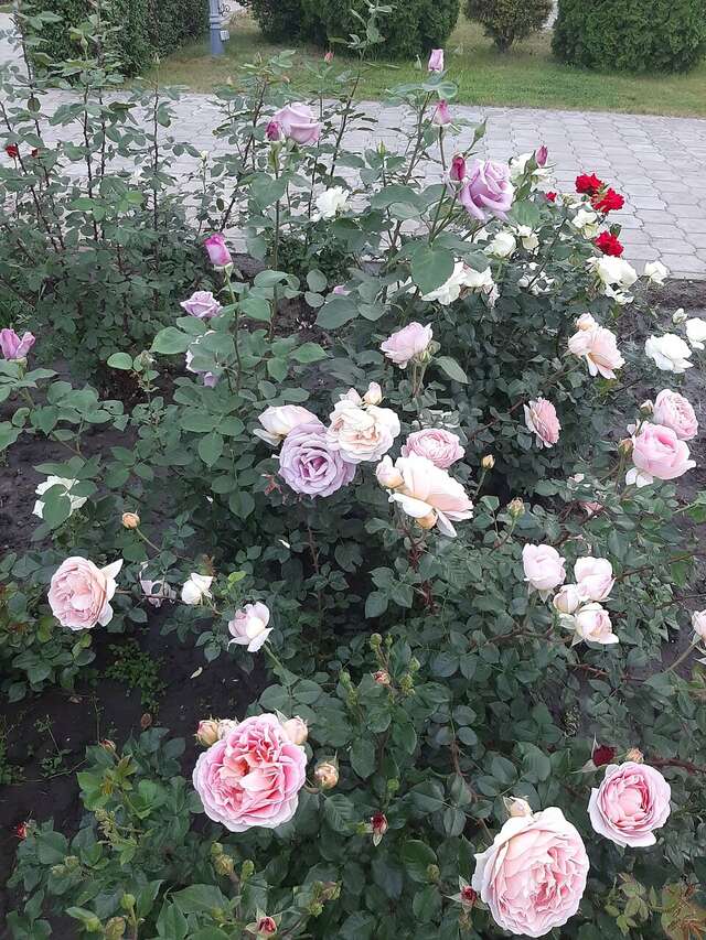 Апарт-отель Новый век Энгельс-87