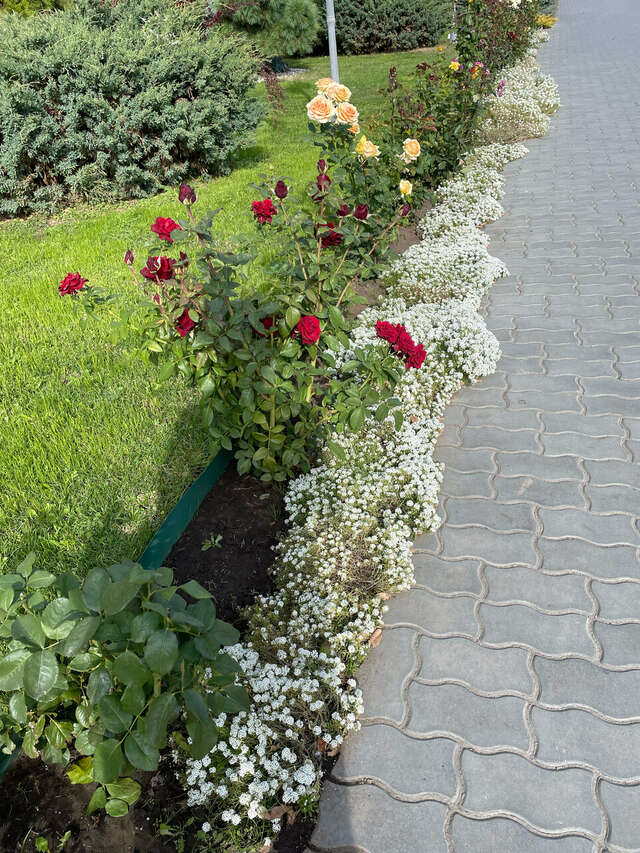 Апарт-отель Новый век Энгельс-140